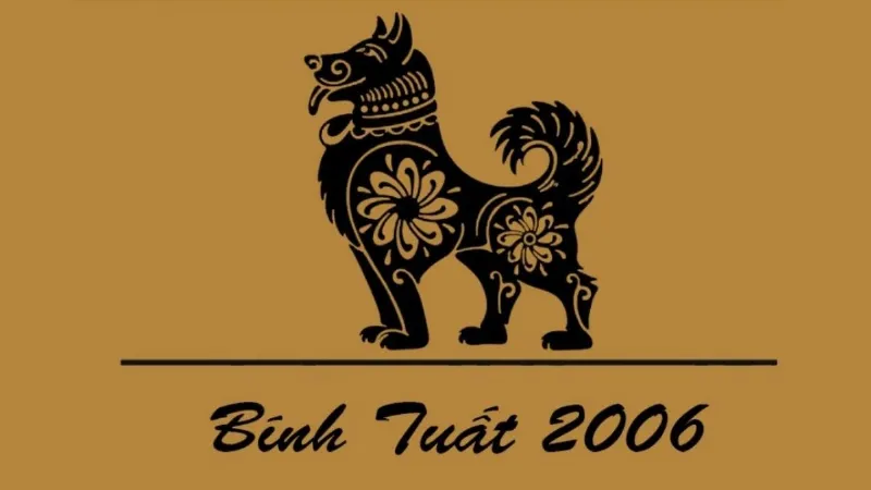 2006 bao nhiêu tuổi?