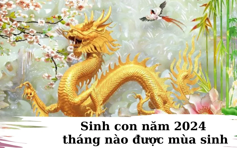 Các bé sinh năm 2024 vào mùa thu đông được mùa sinh con thông minh sáng dạ, chiều cao vượt trội