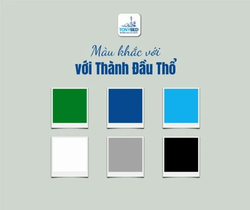 Hình ảnh minh họa cho các màu sắc cần tránh của người mệnh Thành Đầu Thổ