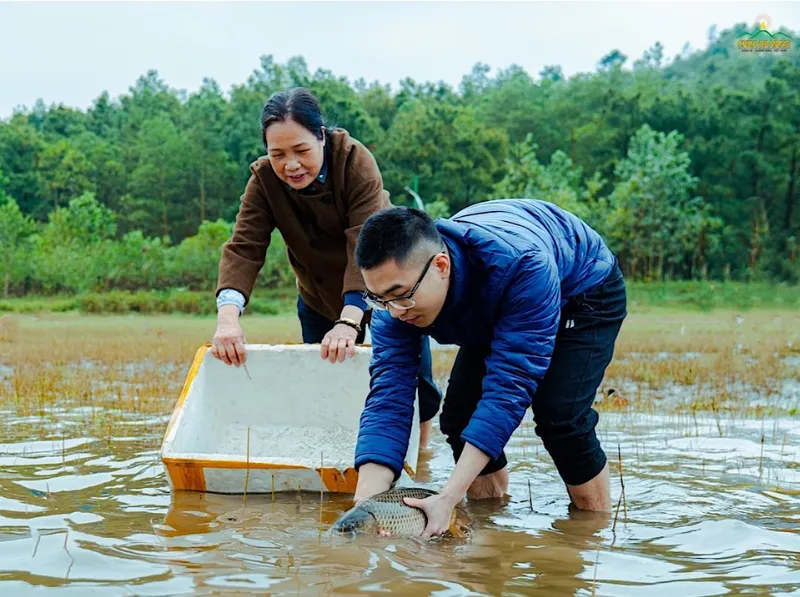 Hình ảnh người dân phóng sinh chim