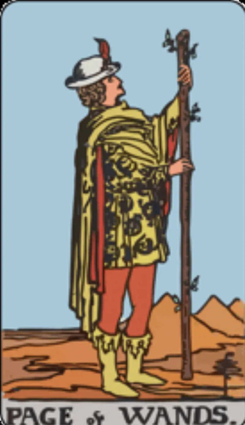 Lá bài Page of Wands trong Tarot